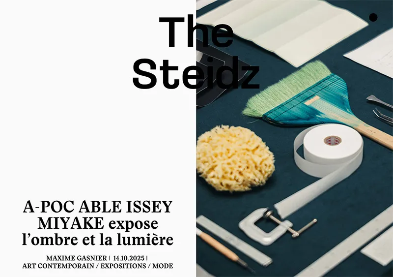 The Steidz Thumbnail